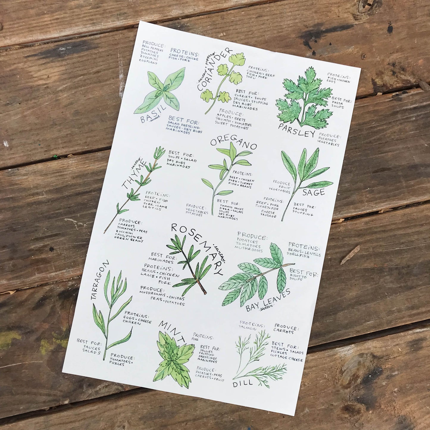 Herb and Spice Posters
